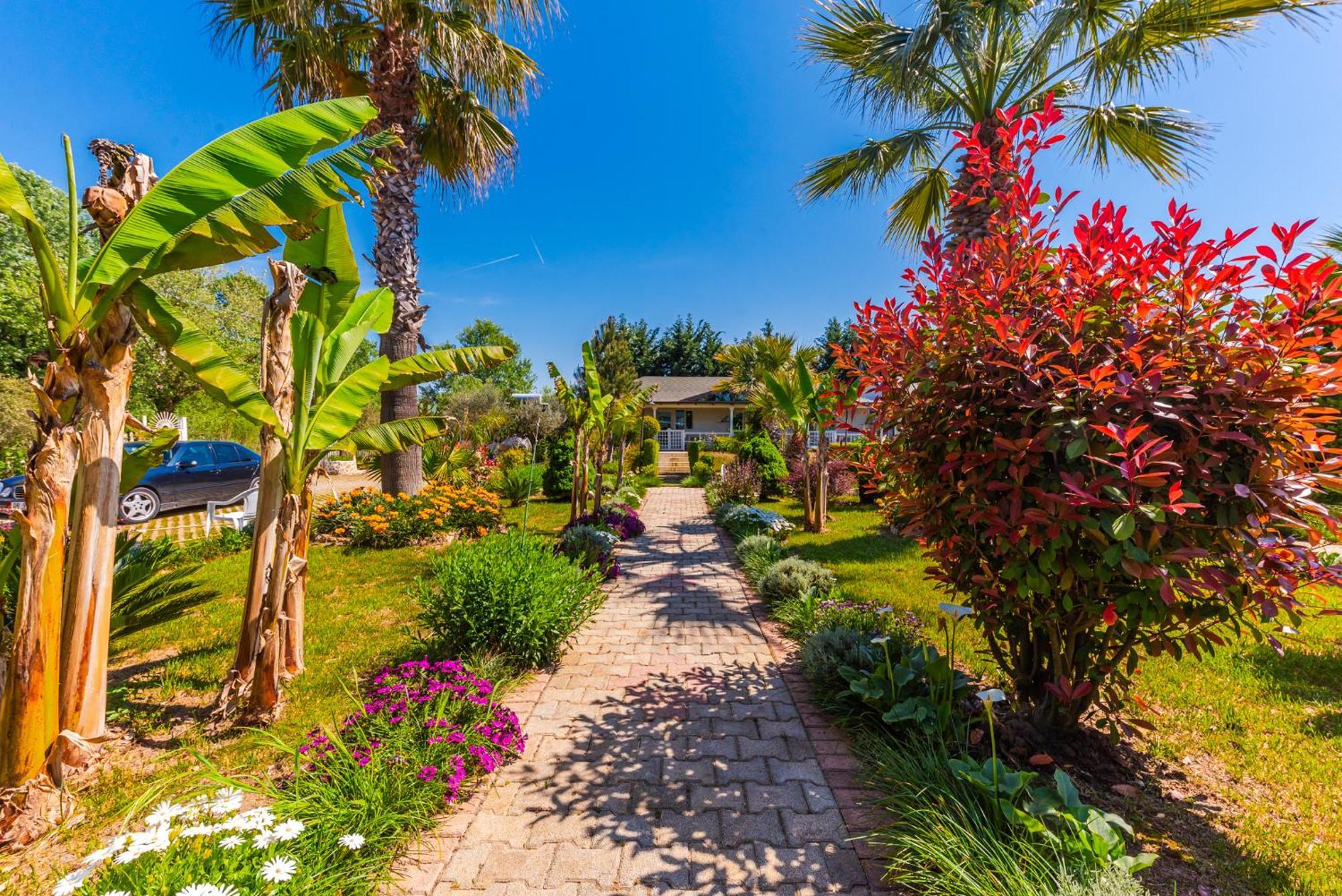 Kompleksi Aljoma Fushë-Draçi Exterior foto